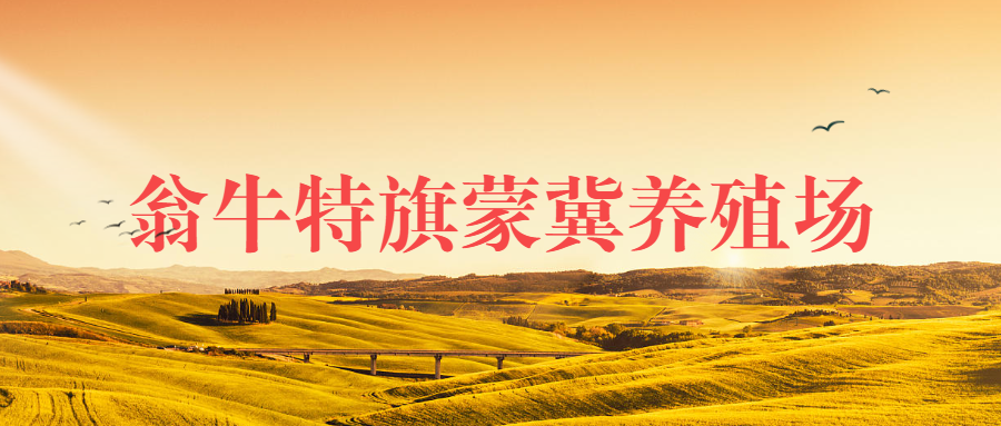 翁牛特旗蒙冀养殖场